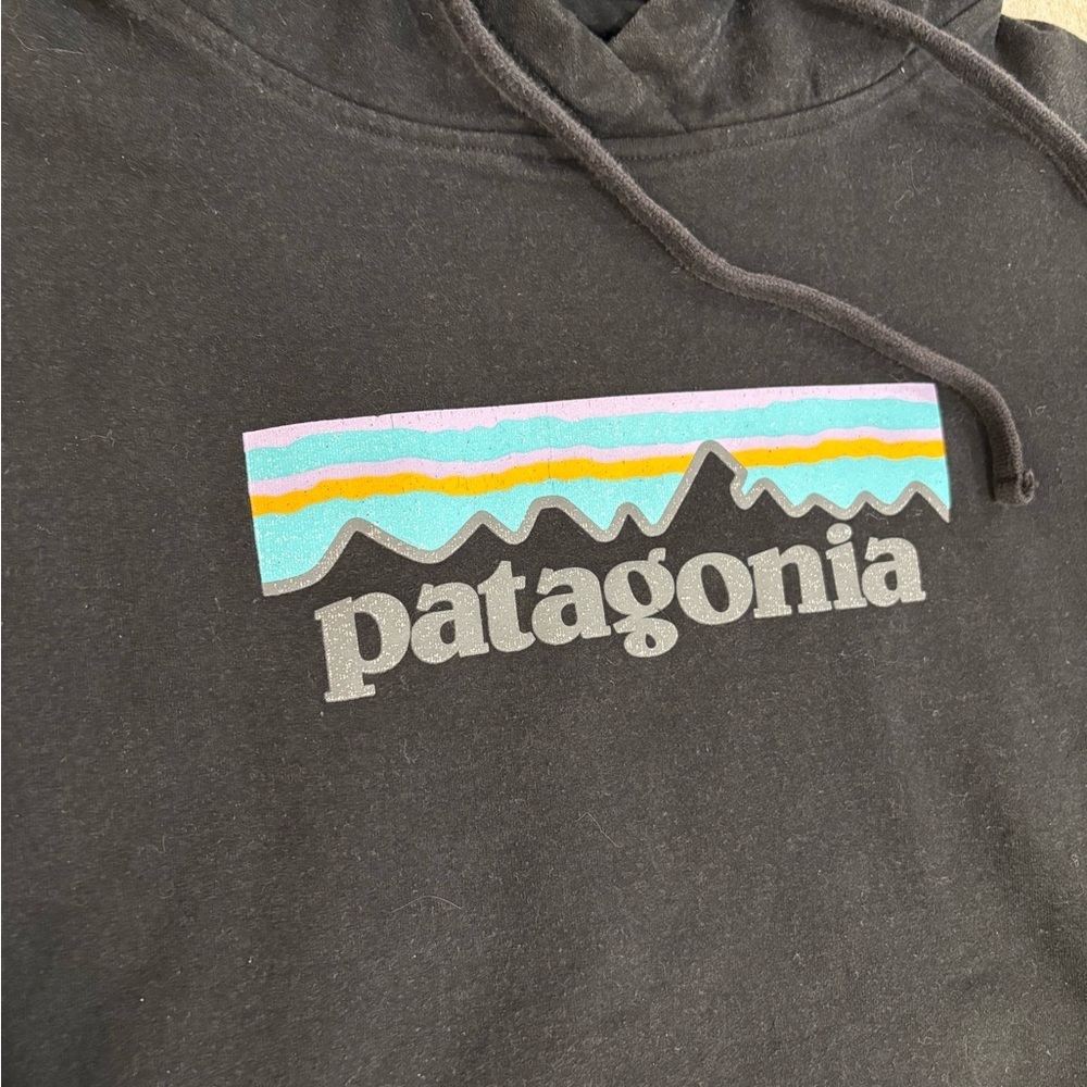 Patagonia Women’s Pastrl Uprisal Logo Hoodie size XS - Picture 5 of 5